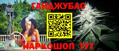 амф Новозыбков