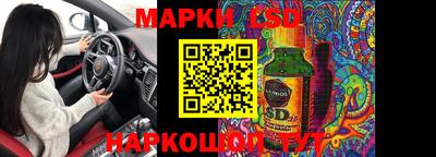 a pvp Новодвинск