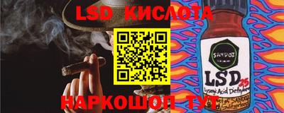 a pvp Новодвинск