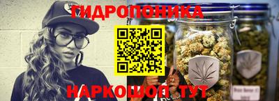 a pvp Новодвинск