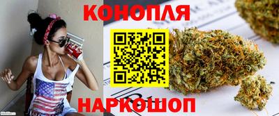 a pvp Новодвинск