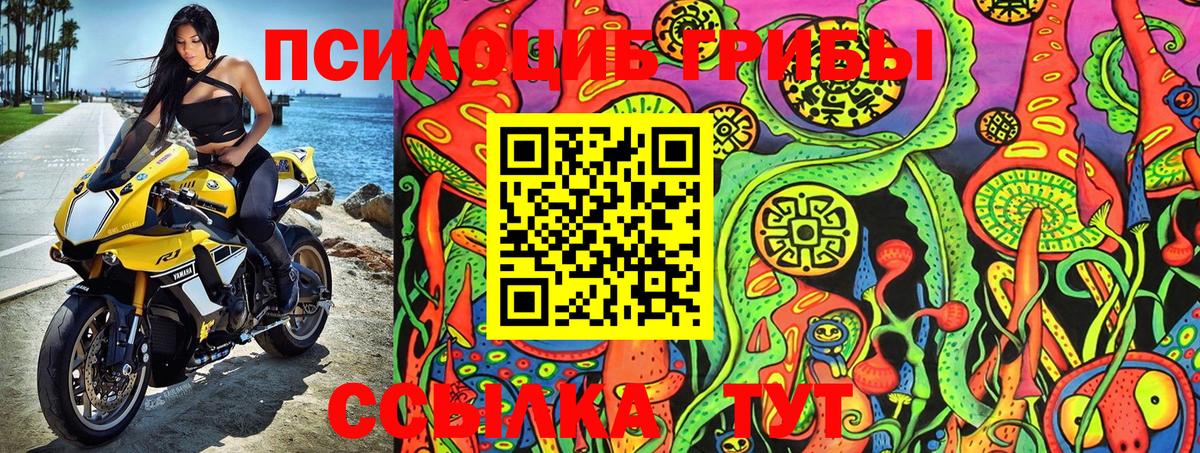 Псилоцибиновые грибы Psilocybine cubensis  Вход с VPN  Химки 